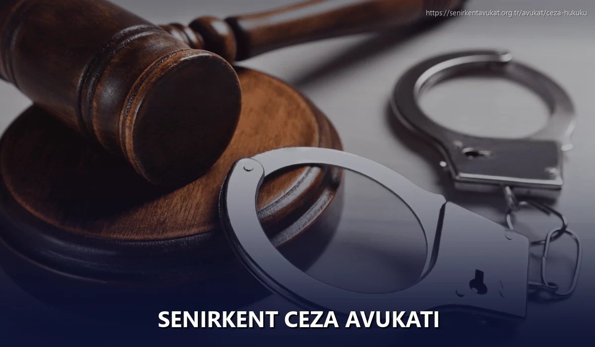 Senirkent Ceza Avukatı