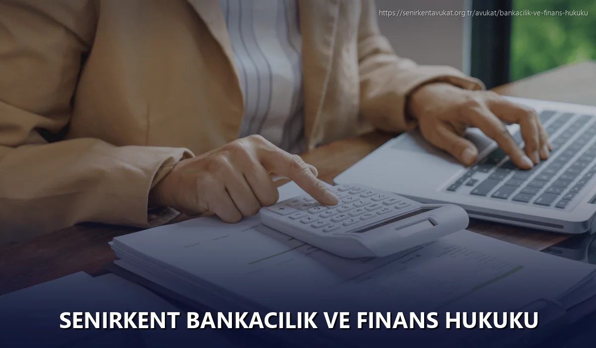Senirkent Bankacılık ve Finans Hukuku