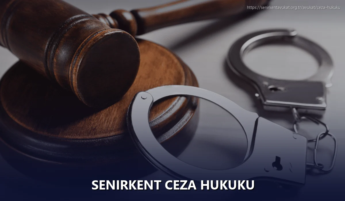 Senirkent Ceza Hukuku